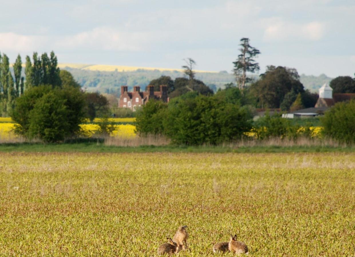 Vila Barnham Court Farm Exteriér fotografie